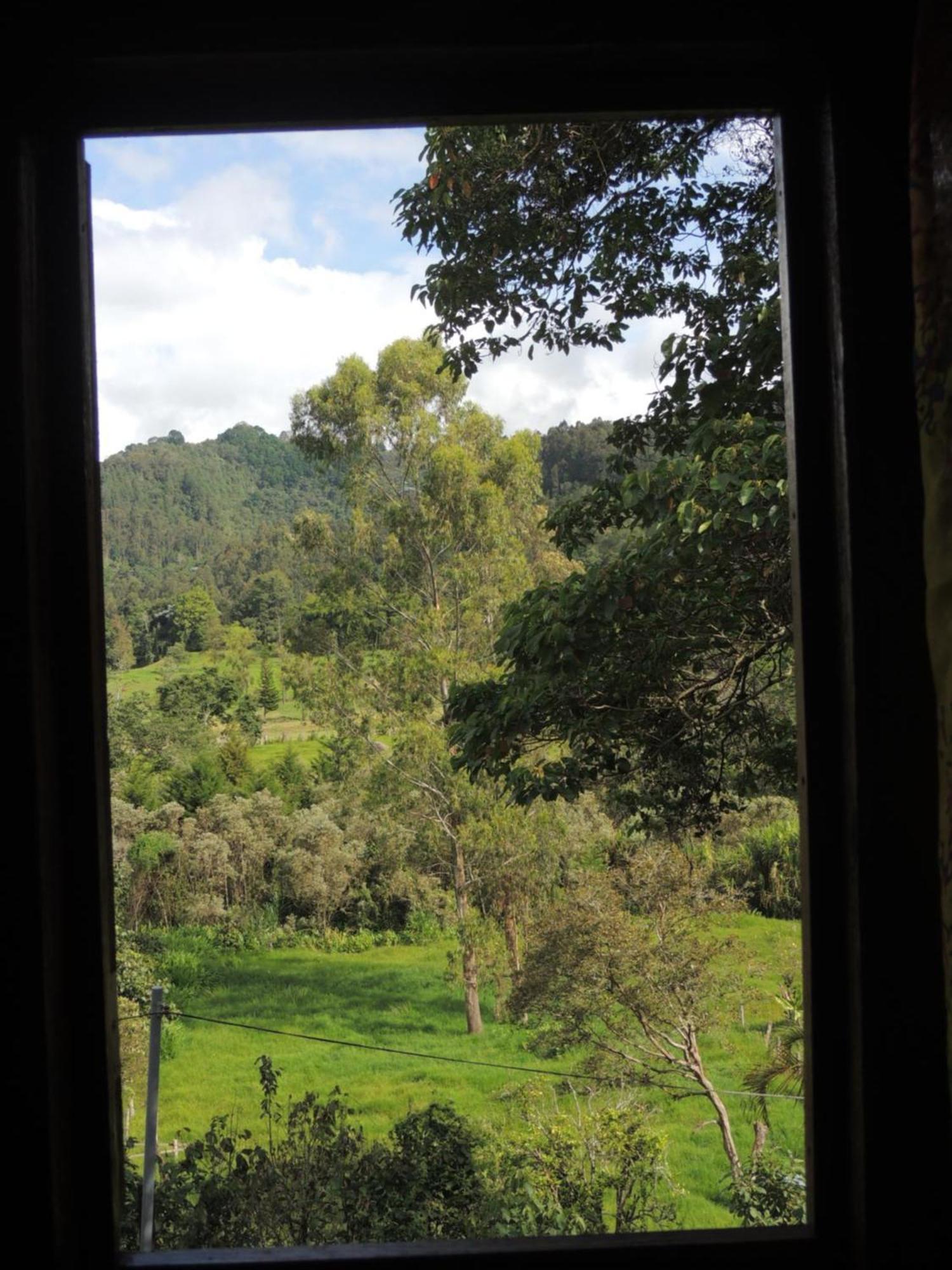 Ecorefugio Las Mirlas サレント エクステリア 写真