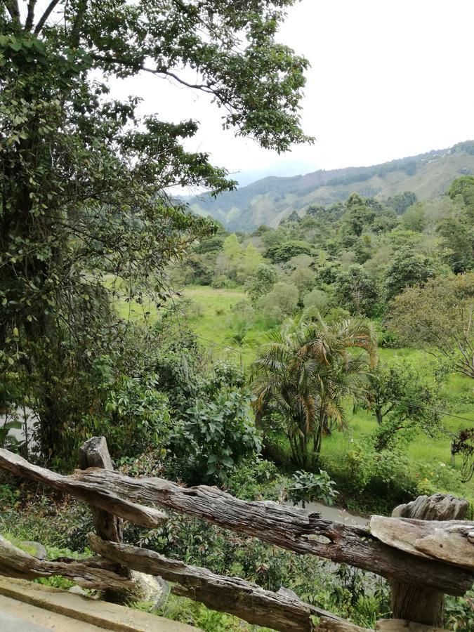 Ecorefugio Las Mirlas サレント エクステリア 写真