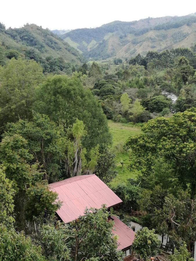 Ecorefugio Las Mirlas サレント エクステリア 写真