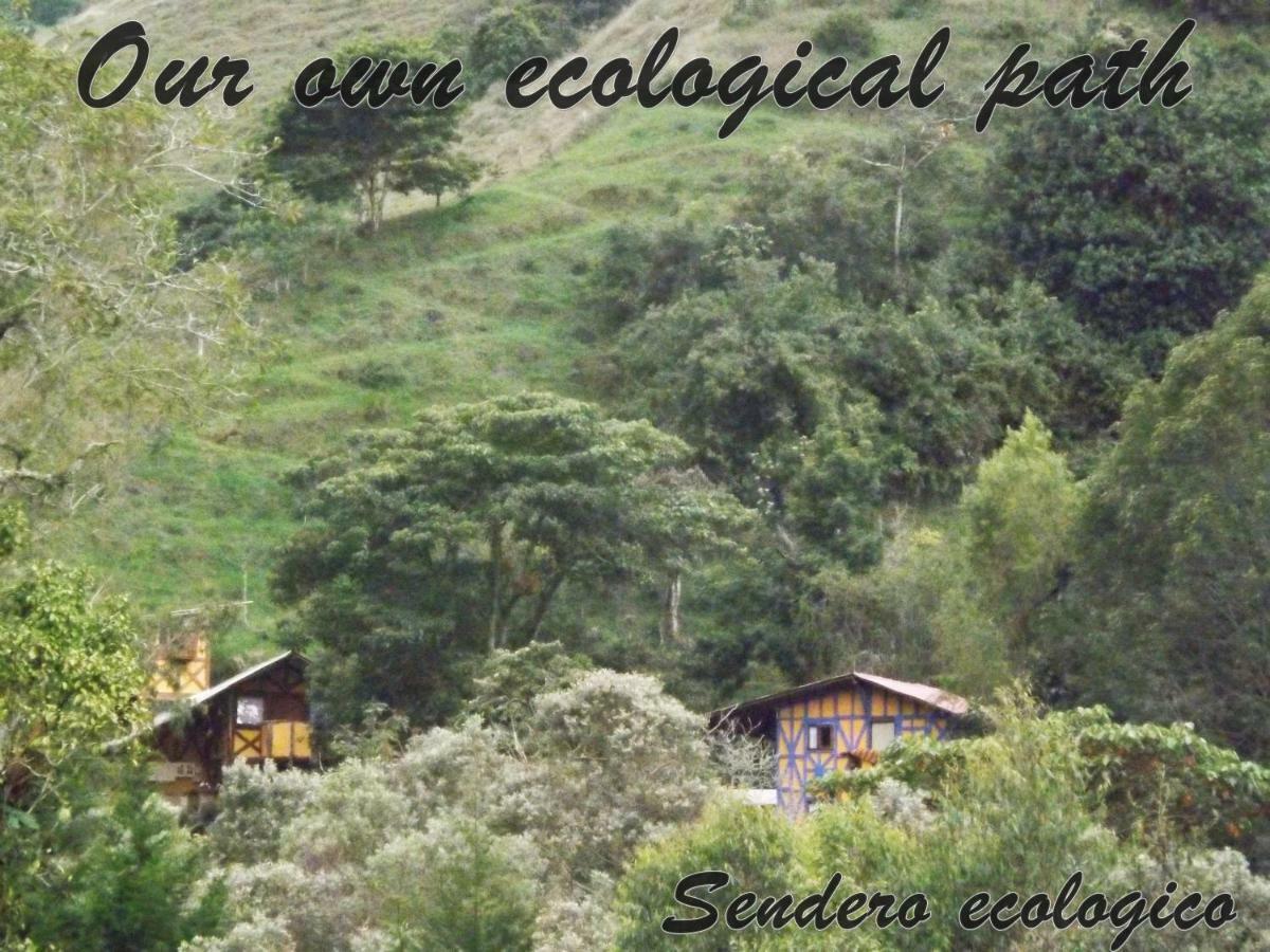 Ecorefugio Las Mirlas サレント エクステリア 写真